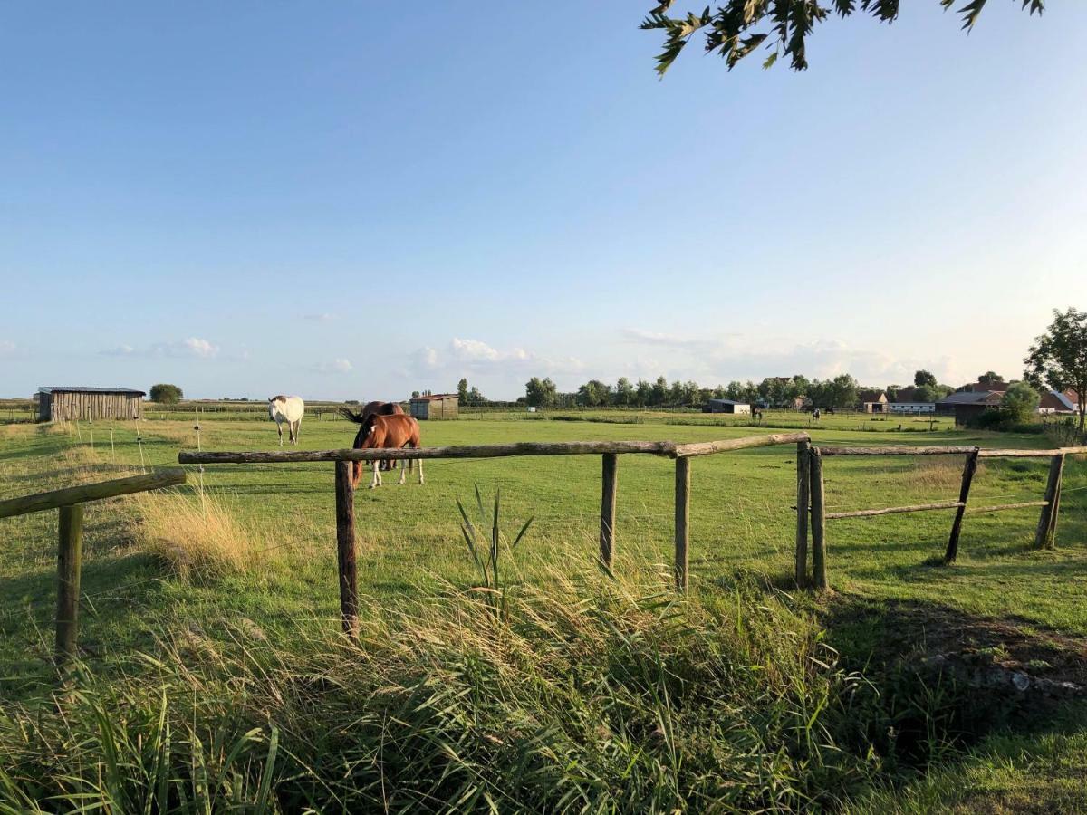 Apartmán 'T Ziltebos Wenduine Exteriér fotografie